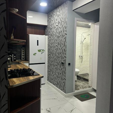 New Apartments In ボルジョミ エクステリア 写真